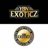 Minimal Logo Design (Text/Emblem Logo)